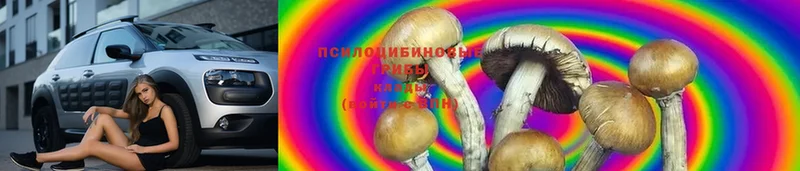 Галлюциногенные грибы Magic Shrooms  наркошоп  Билибино 